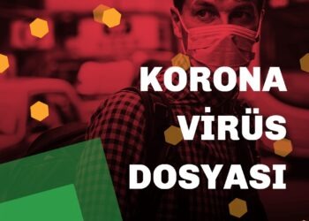 Koronavirüs Dosyası