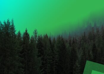 Türkiye’nin İklim Değişikliği Tutumu