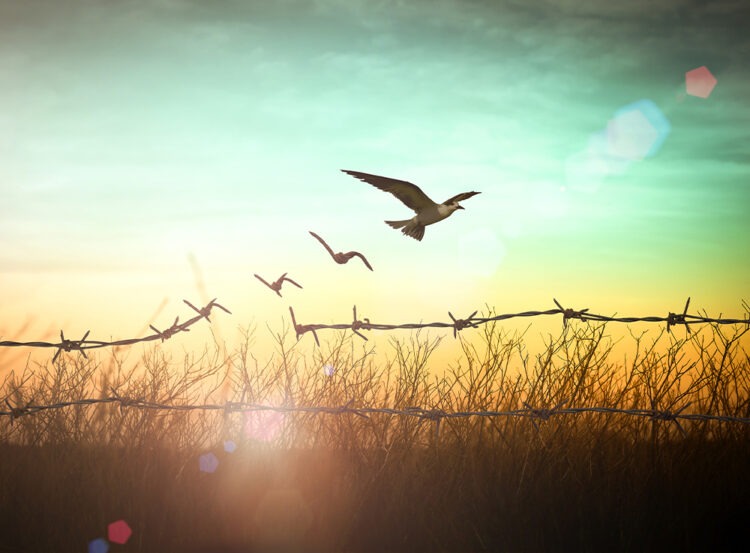 İnsan Hakları İhlali Ve Savaş Suçu Kendi Refahımızdan Önemli Mi?