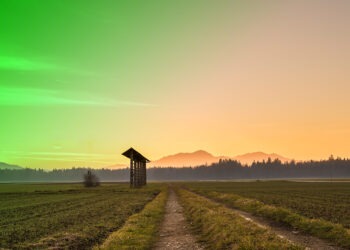 Türkiye’de Tarım Alanlarının Kaybı