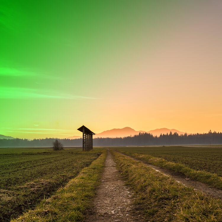 Türkiye’de Tarım Alanlarının Kaybı