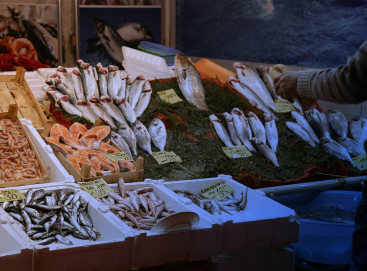 Ekonominin Bugünü ve Yarınına Bakış