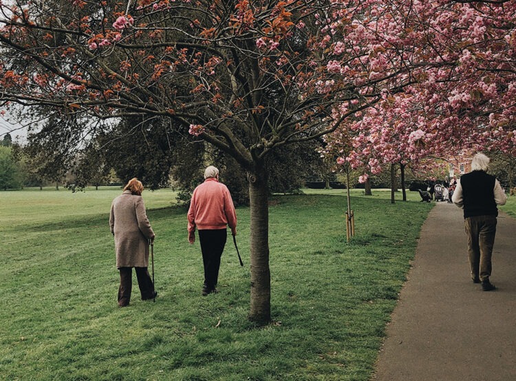 Eski Toprak: Türkiye’de Yaşlı Nüfus