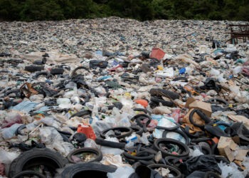 Çöp değil, Geri Dönüştürülebilir: Türkiye’de Atık ve Bertaraf Miktarı