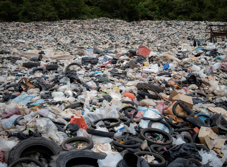 Çöp değil, Geri Dönüştürülebilir: Türkiye’de Atık ve Bertaraf Miktarı