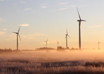 Çevre Dostu Enerji: Rüzgar Enerjisi Kullanımı Ne Durumda?