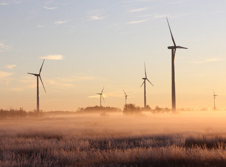 Çevre Dostu Enerji: Rüzgar Enerjisi Kullanımı Ne Durumda?