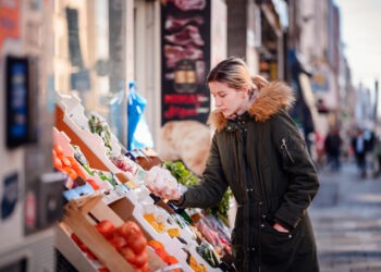 Sermaye ve Emek Arasında: Türkiye’de Derinleşen Gelir Eşitsizliği