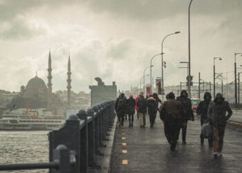 Türkiye’de İşsizlik ve İstihdam Ne Durumda?